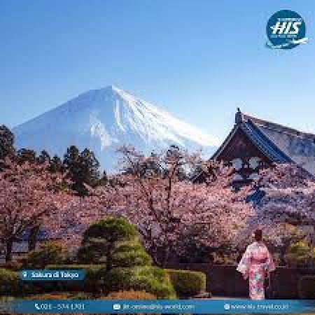 H.I.S Travel Indonesia Tawarkan Paket Wisata Sakura ke Jepang, Cocok untuk Traveler yang Ingin Nikmati Keindahan Musim Semi