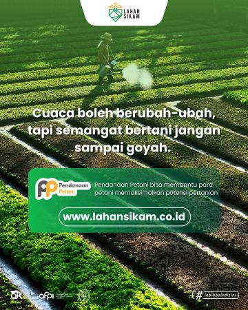  Panen Lebih Untung Lewat Lahan Sikam, Petani Gak Lagi Main Tebak Harga