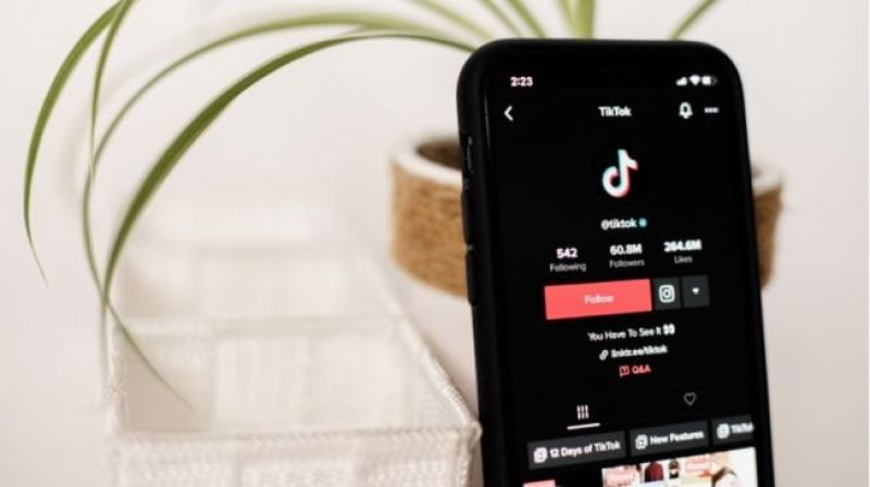 Komentar Asli yang Aman, Senjata Sunyi Bikin TikTok Kamu Makin Dilirik