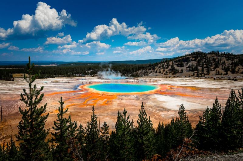  Wita Tour Tawarkan Petualangan Seru ke Taman Nasional Yellowstone dan West Coast Amerika, Kombinasi Alam Liar dan Kota Modern