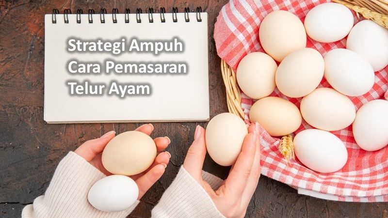 Strategi Ampuh Cara Pemasaran Telur Ayam Segar