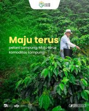 Butuh Modal Tanam? Cukup Ajukan Lewat Aplikasi Lahan Sikam