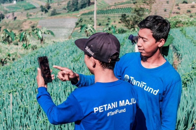 TaniFund: Kolaborasi Petani dan Investor untuk Pertanian Berkelanjutan