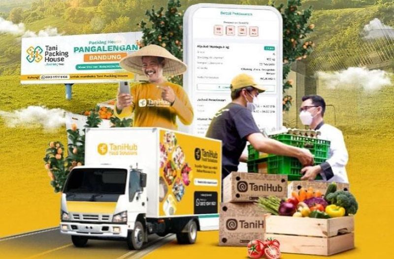 Apakah TaniHub Capital Cocok untuk Petani Pemula? Ini Faktanya