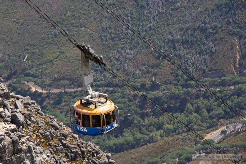 Avia Tour Rilis Paket Wisata Afrika Selatan, Gabungkan Safari, Budaya, dan Kota Modern dalam Satu Perjalanan