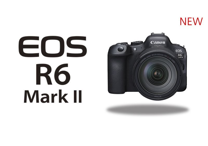 Canon EOS R6 Kamera Mirrorless Profesional dengan Performa Cepat dan Fitur Canggih untuk Fotografer