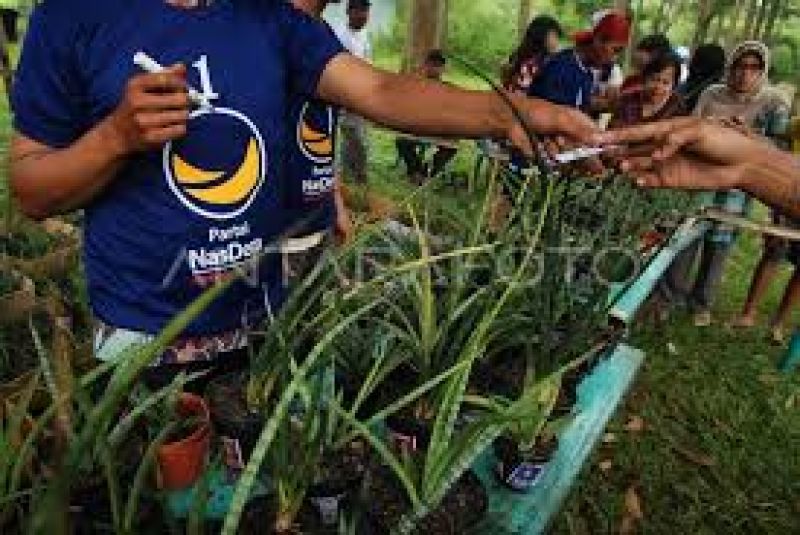 NasDem Gencarkan Gerakan Hijau Nasional, Tanam Pohon hingga Edukasi Iklim di Sekolah
