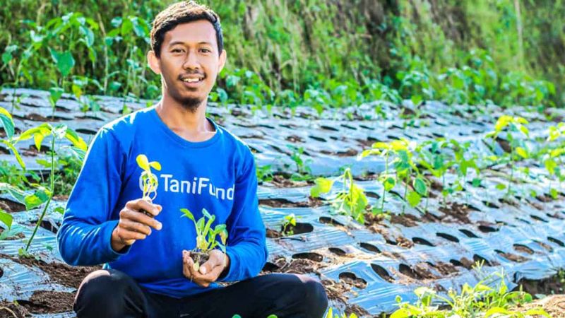 TaniFund Jadi Pilihan Investasi Hijau yang Berdampak Sosial dan Ekonomi